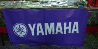 Seminario Técnico Yamaha (12)