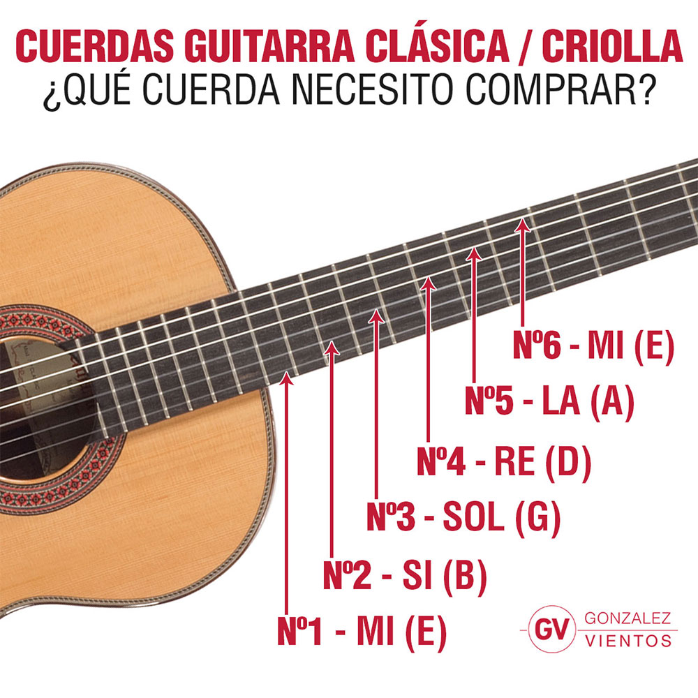 Revolucionario Negociar Definición Cuerda Suelta Daddario J2701 Classic Nylon 1 Mi Tension Normal Para Guitarra  Clasica – Gonzalez Vientos Store